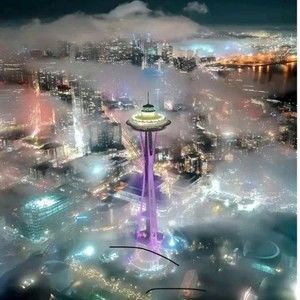 Meet your Posher, Teeonte